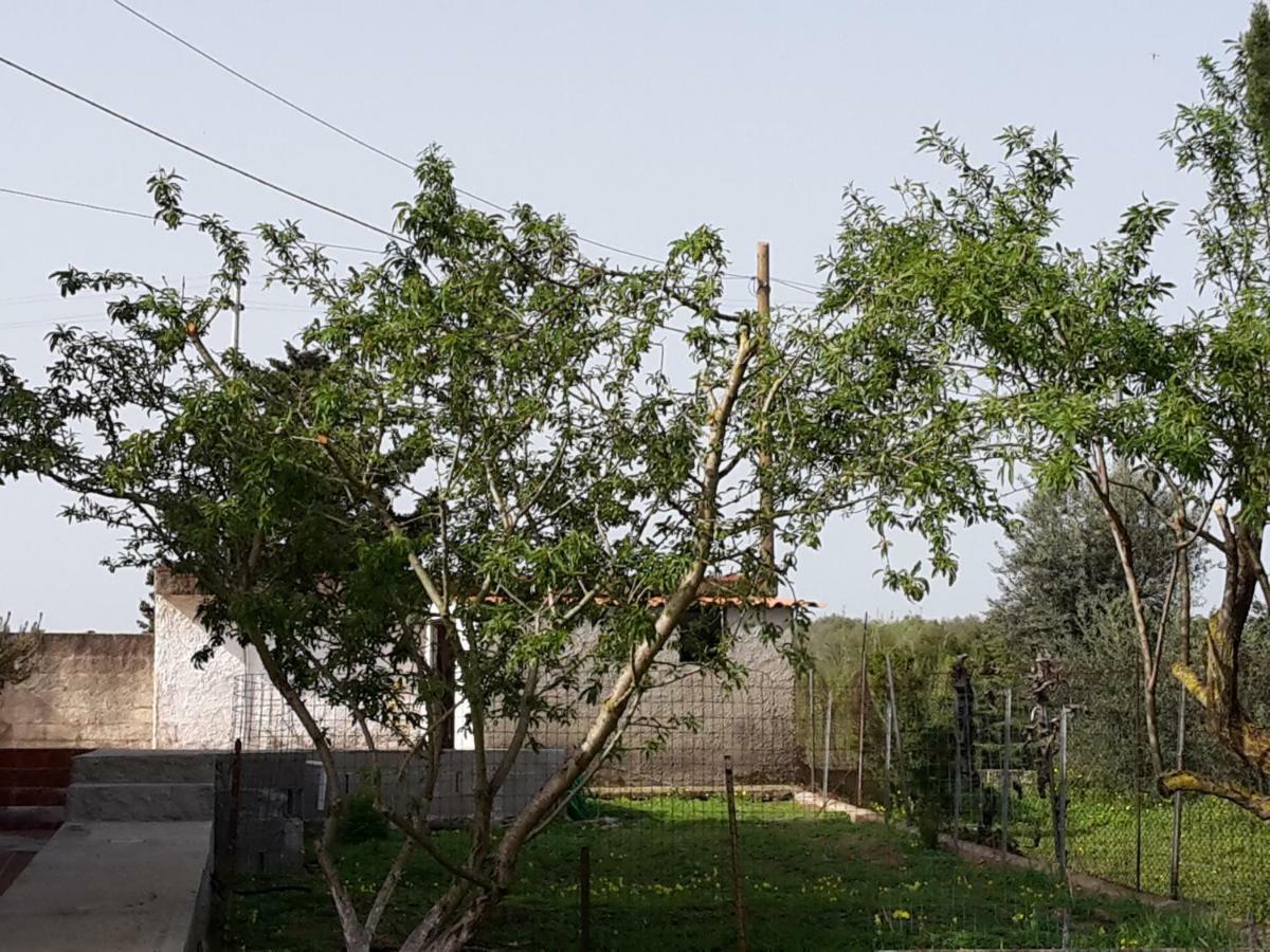 B&B I 4 Venti Sassari Exteriör bild